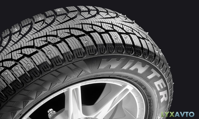 Пирелли серии Винтер Карвинг Эдж
